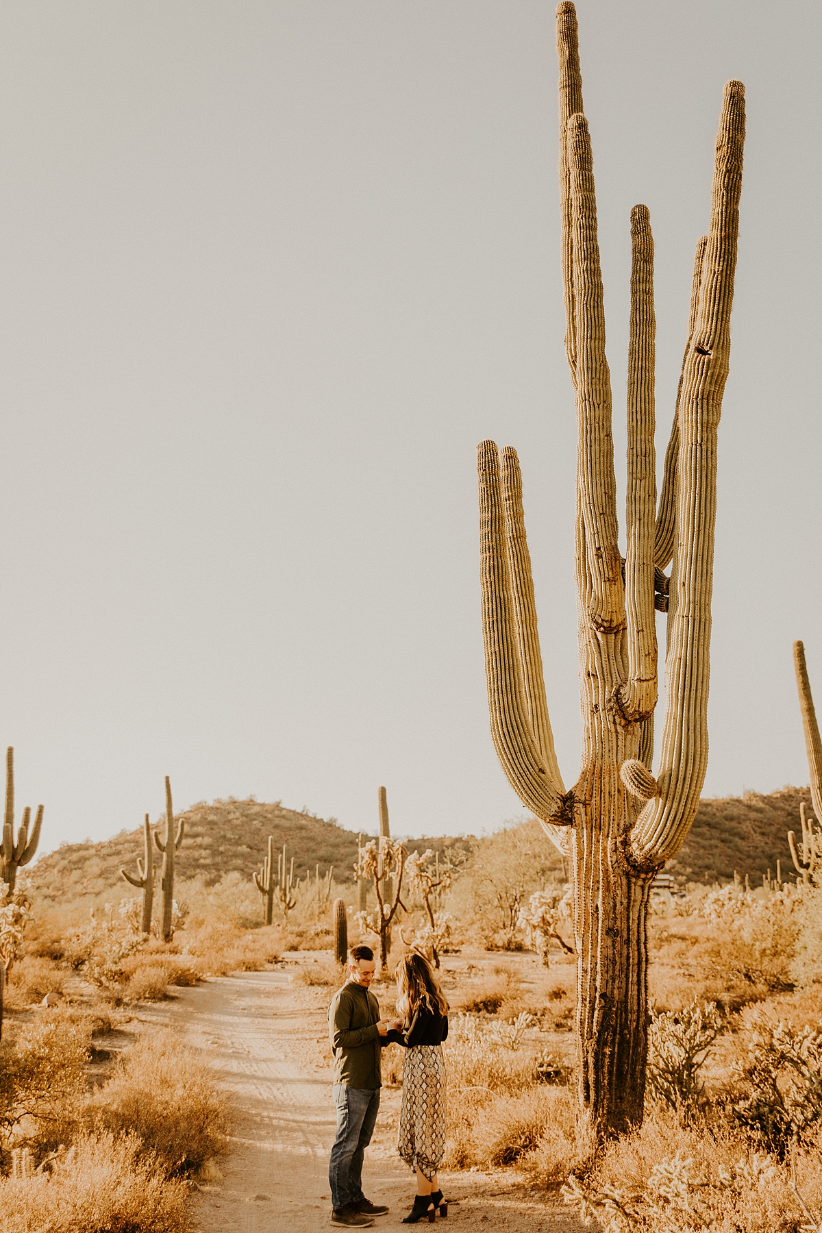 surprise-proposal-in-the-arizona-desert-allison-slater-photography7.jpg
